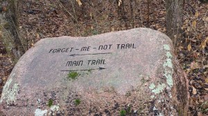 I hope I'm always on the Forget-Me-Not Trail.